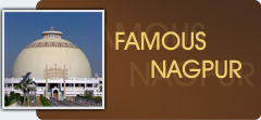 Famous Nagpur