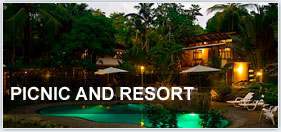 Picnic and Resort
