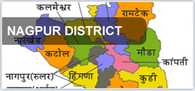 Nagpur District