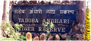 Tadoba Andhari Tiger Reserve